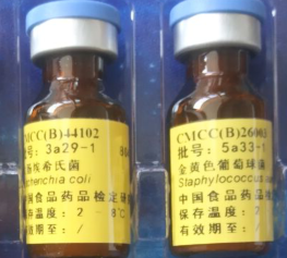 菌种